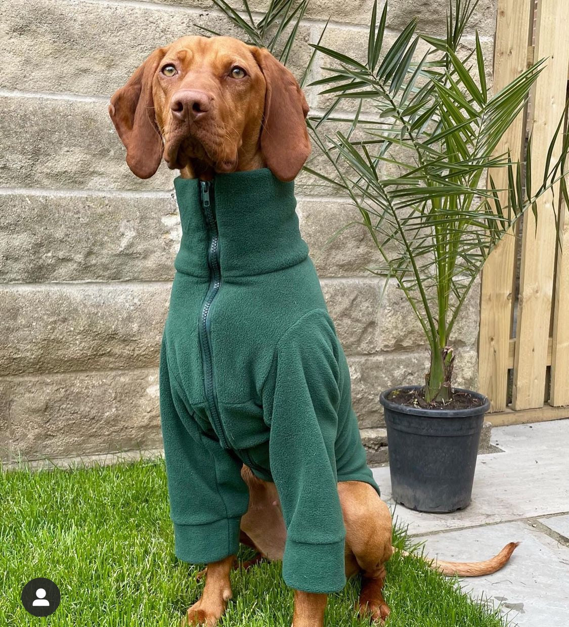 Puppy Fleece Package