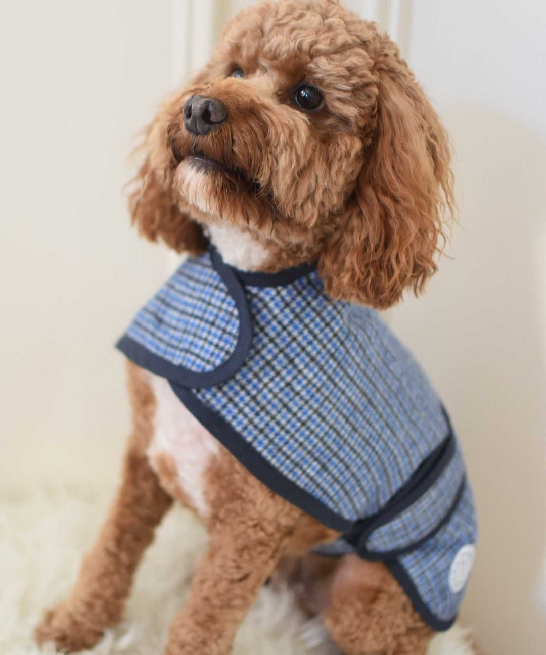 Wool Cape Waterproof / Fleece Lined