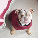 Puppy Fleece Package