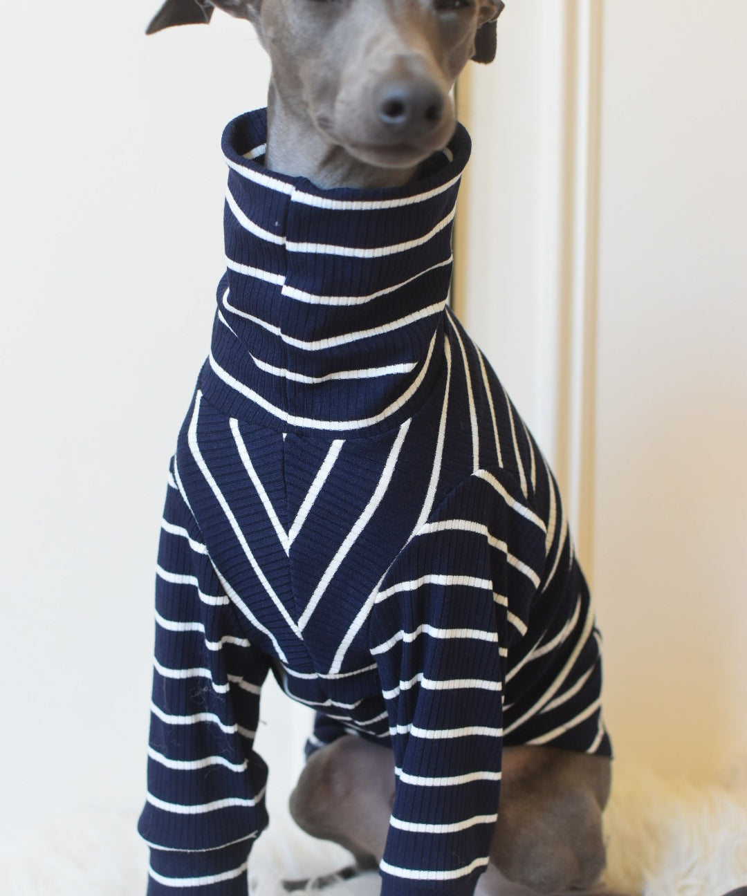 Oh La La Navy Stripe Jersey