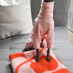 Elio Wearing Baby Pink in Size S