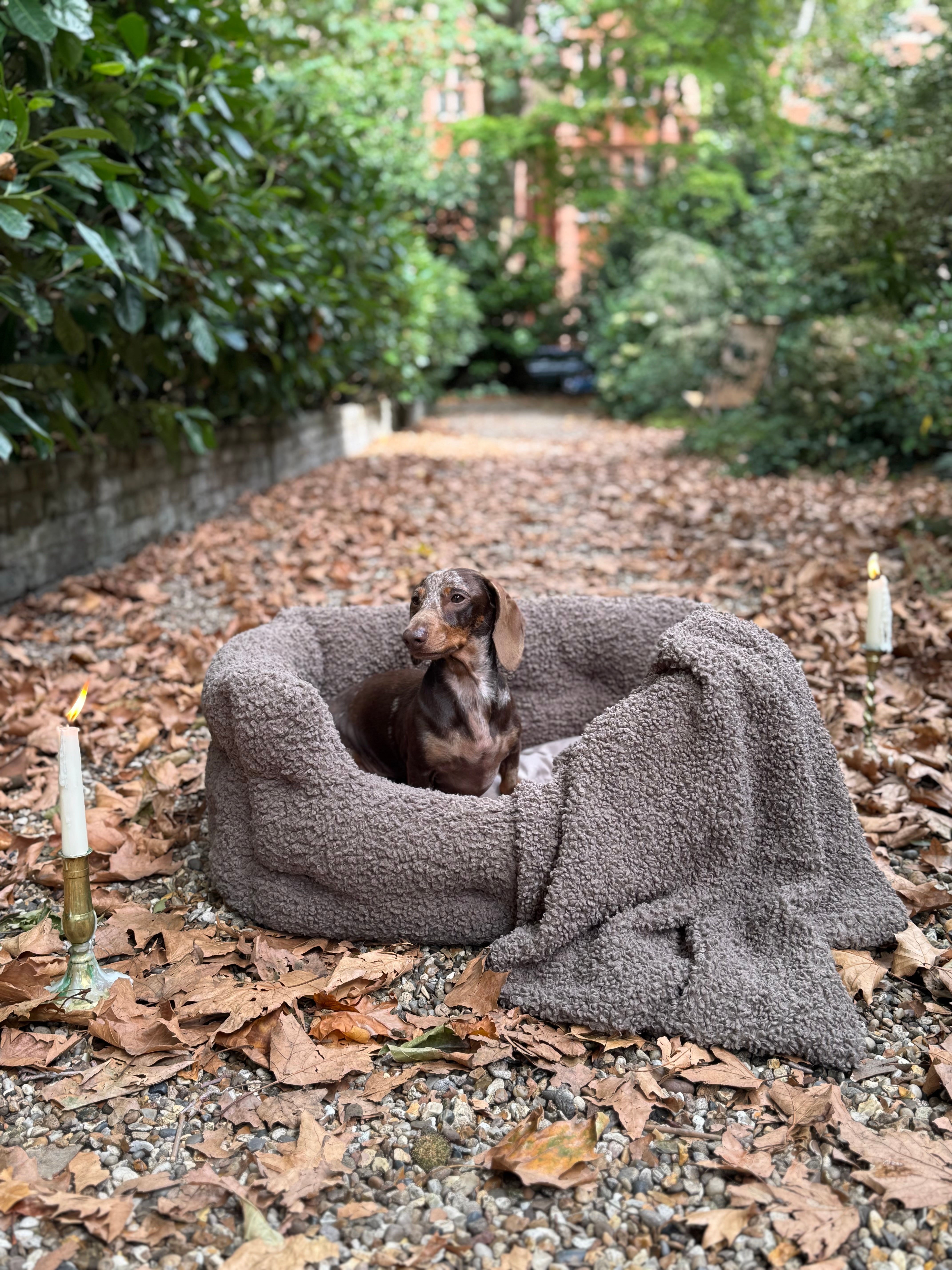 Beds, Blankets & Snuggle Sacks