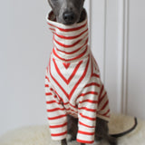 Red Breton Jersey