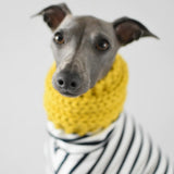 Black Friday Christmas Knitwear Bundle