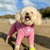 Black Friday Christmas Bundle x3 Fleece