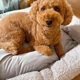 Sherpa Bed