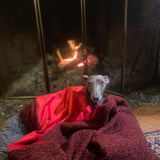 Sherpa/ Velvet Blanket