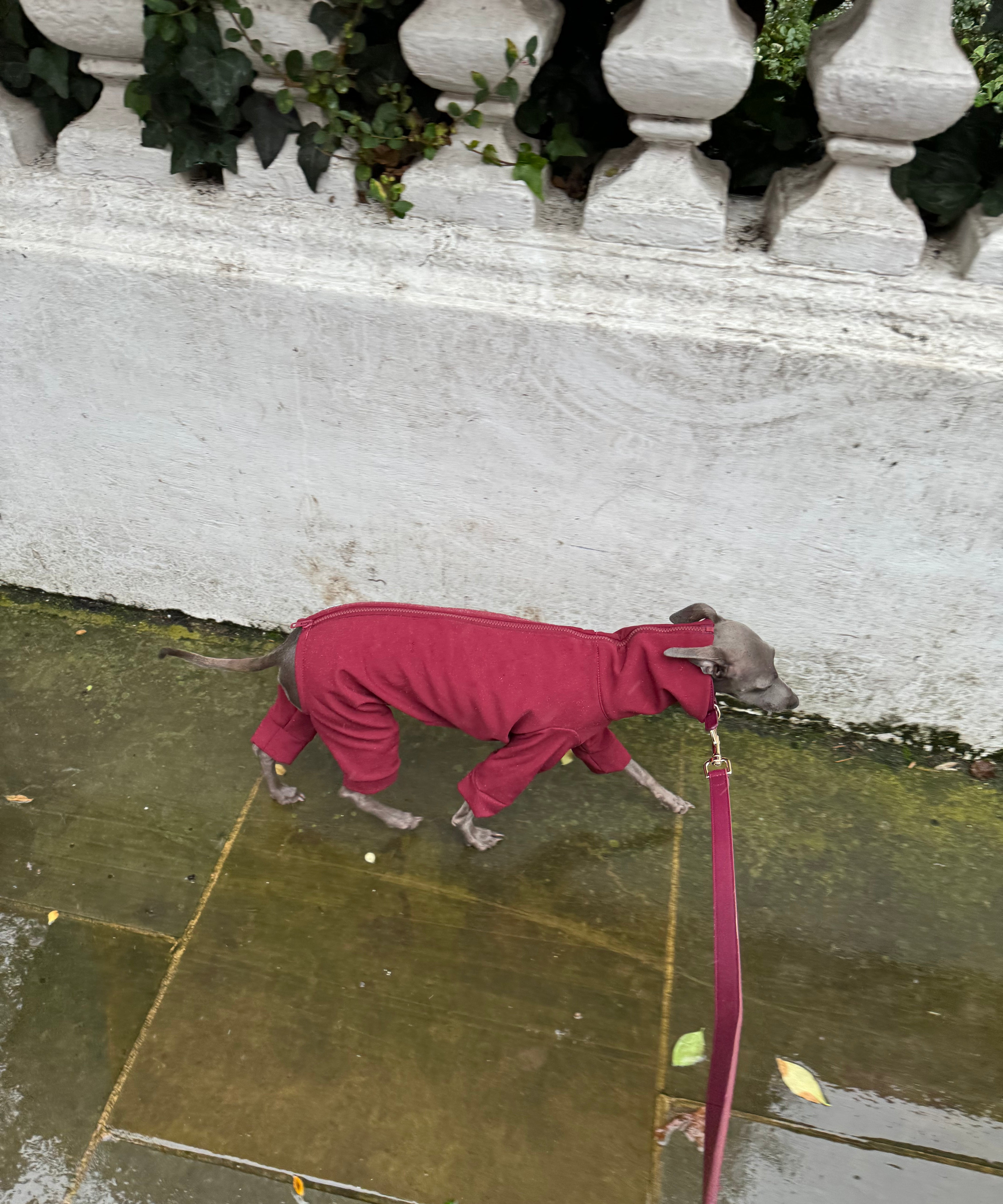 Waterproof Full Fleece Suit