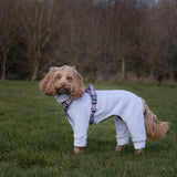 Lilac Fleece