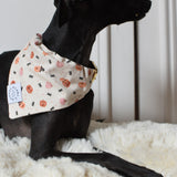 Spooky Halloween Bandana
