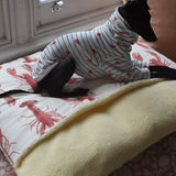 Snuggle Sack Beds