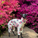 Azalea Sherpa Fleece