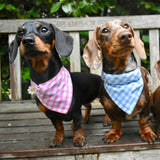 Gingham Bandana Neckerchiefs