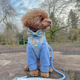 Black Friday Christmas Bundle x3 Fleece