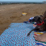 Watermelon Cooling Mat 65x 50cm