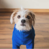 Blue Fleece
