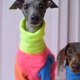 Fluro Rainbow Fleece