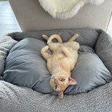 Sherpa Bed