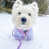 Black Friday Christmas Bundle x3 Fleece