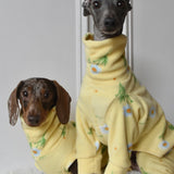 Spring Yellow Daisy Fleece