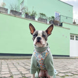 Black Friday Christmas Bundle x3 Fleece