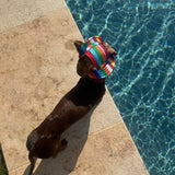 Doggy Sunhats