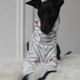 Under the Sea - Little Lobster Stripe