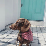 Gingham Bandana Neckerchiefs