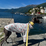 Under the Sea - Little Lobster Stripe