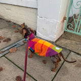 Autumn Harlequin Plaid Fleece