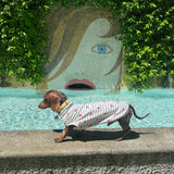 Under the Sea - Little Lobster Stripe