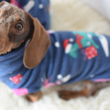 Christmas Dino 🦖 🦕