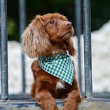 Gingham Bandana Neckerchiefs
