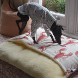 Snuggle Sack Beds