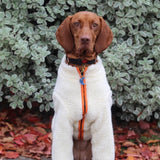 Sherpa Fleece