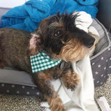 Gingham Bandana Neckerchiefs