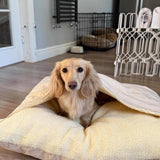 Snuggle Sack Beds