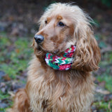 Black Friday Christmas Knitwear Bundle