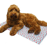 Watermelon Cooling Mat 65x 50cm