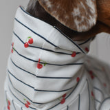 Little Cherry Stripe Jersey 🍒