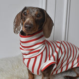 Red Breton Jersey