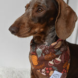 Pumpkin Patch Bandana