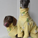 Spring Yellow Daisy Fleece