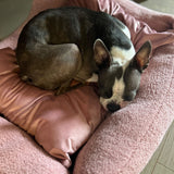 Sherpa Bed