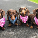 Gingham Bandana Neckerchiefs