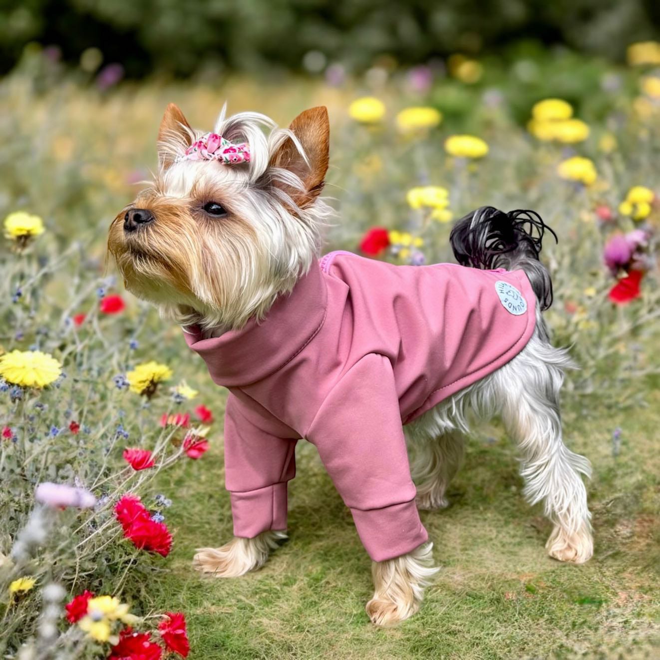 Waterproof Full Fleece Suit