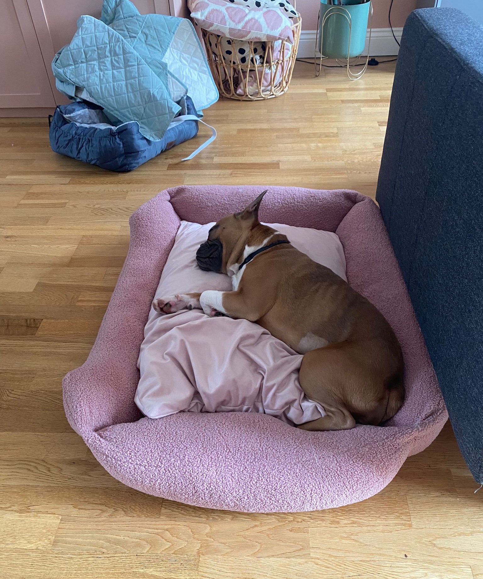Sherpa Bed