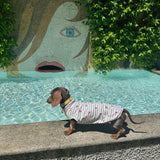 Under the Sea - Little Lobster Stripe