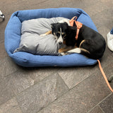 Sherpa Bed