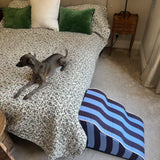 Pet Steps